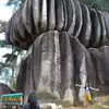 iburumahtangga891