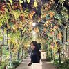 autumnflavors3