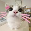 qvenus_