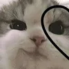 lionel_abdul