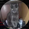 919303756173728394717i