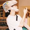 febi__3