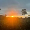 minh.nguyn6197