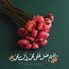 user8605901892540