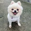 cutelatuihihi123