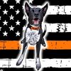 K9Tacoma and Wylie