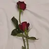 z__zgg