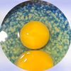 user2d4724uxd01
