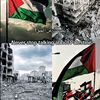 nasser.xilx