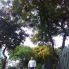 jormanjcruzadog