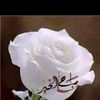 user4705252911801
