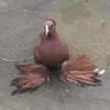 userqzjh5zbron