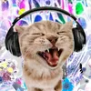 gatinhocomcoxinha2
