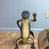 jaimepatacon