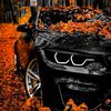 the_best__car_public