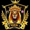 habibi_3000
