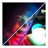 alex_sternin
