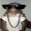 ooponyxx987