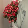 roog87a_