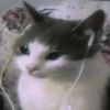 killer_queen.tsb