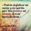 sandravillatoro73
