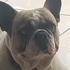 user7mau