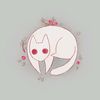 cranberry_kitten