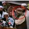 zameeralvi51214