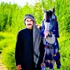 ms_mst97