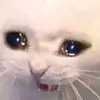 leosger