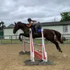 hevshorsestuff