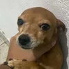 olobinkk