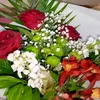 _maria_zamsha__
