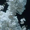 angevrd