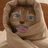 biscoffpi