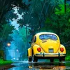 n.t.quang