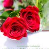 parvin.2727