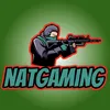 natgaming4.3