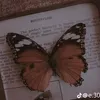 butterfly.o06