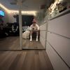 looops_44