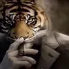 kanjoplaya