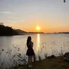 fox_199x07