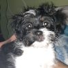 wallymolina20