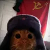 copito_copitik