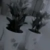m_z_97i