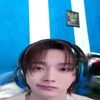 seleskibidi