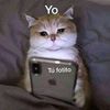evelyn_9492