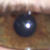 isaiah_fralix