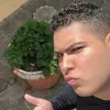 natantavaresda326