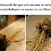 el_meme.s0